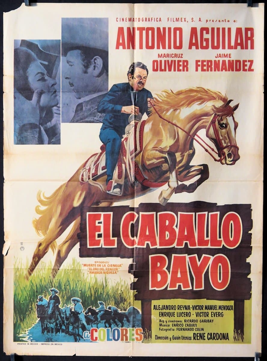 Movie poster