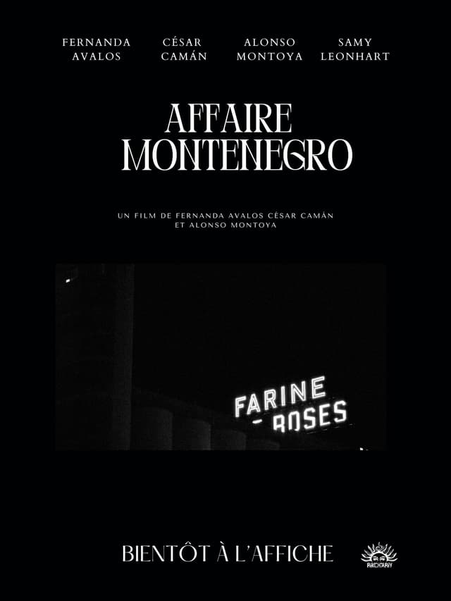 The Montenegro Affair