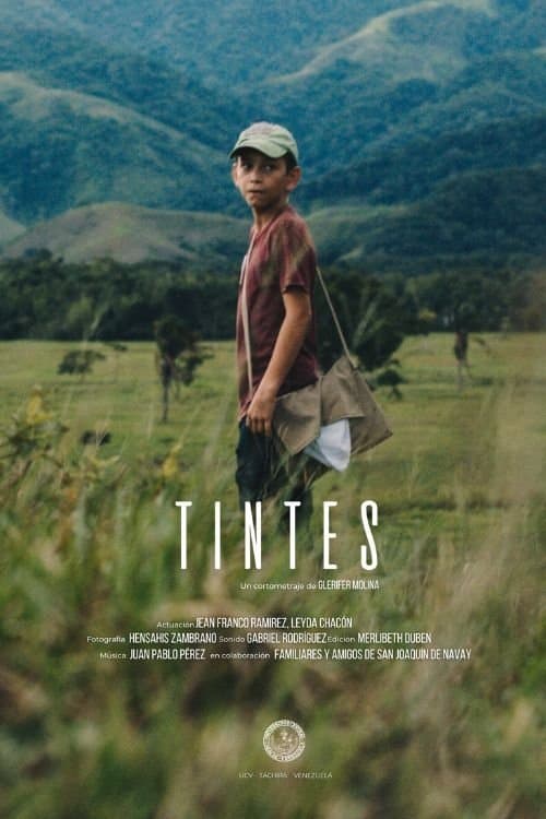 Tintes