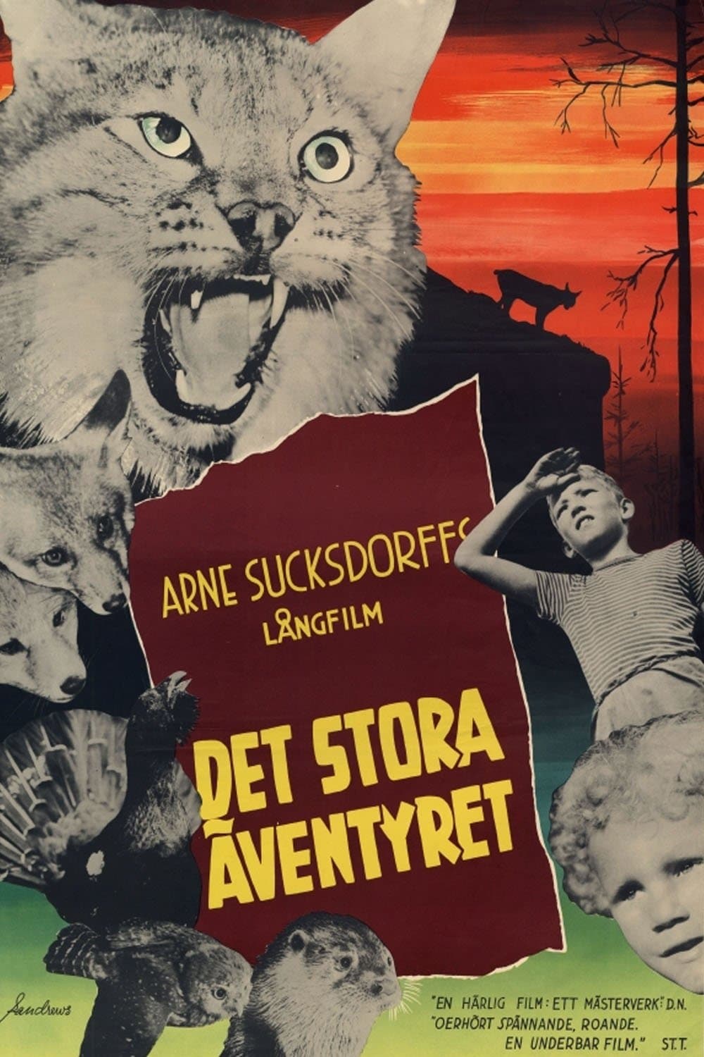 Movie poster