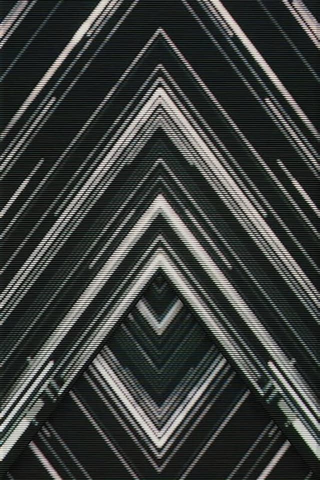 SAKANAQUARIUM 2015-2016 "NF Records launch tour" -LIVE at NIPPON BUDOKAN 2015.10.27-