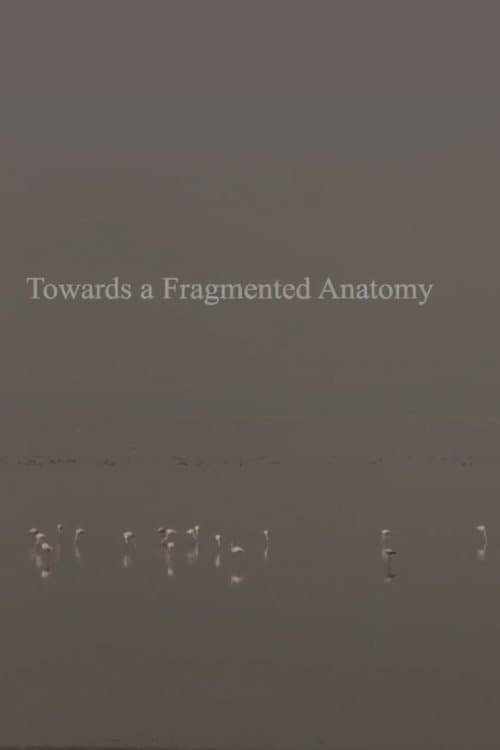 Towards a Fragmented Anatomy