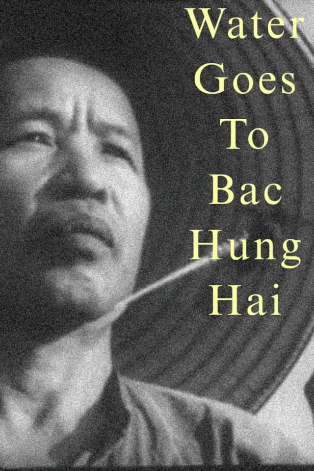 Water Goes to Bac Hung Hai