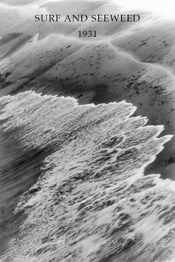 Surf and Seaweed