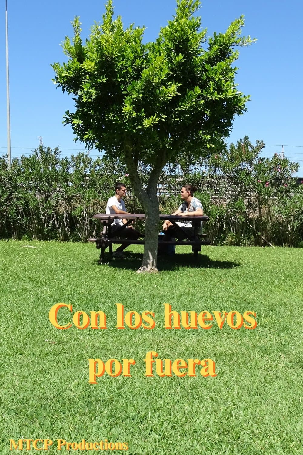 Movie poster