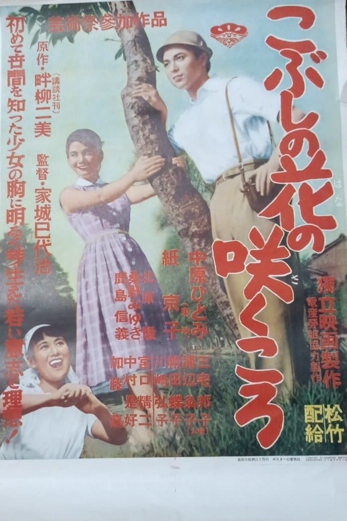 Movie poster