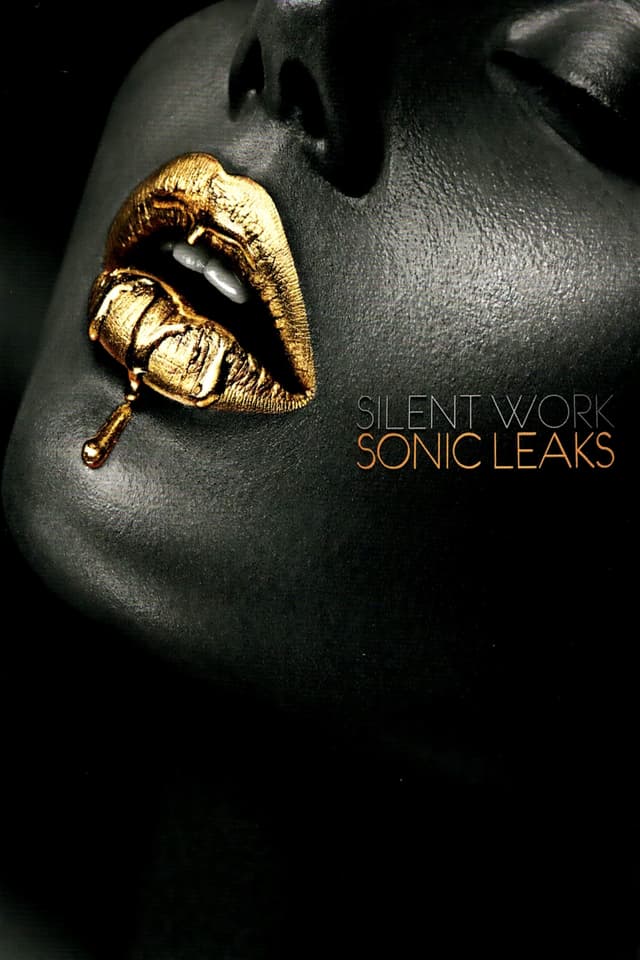 Silent Works - Sonic Leaks