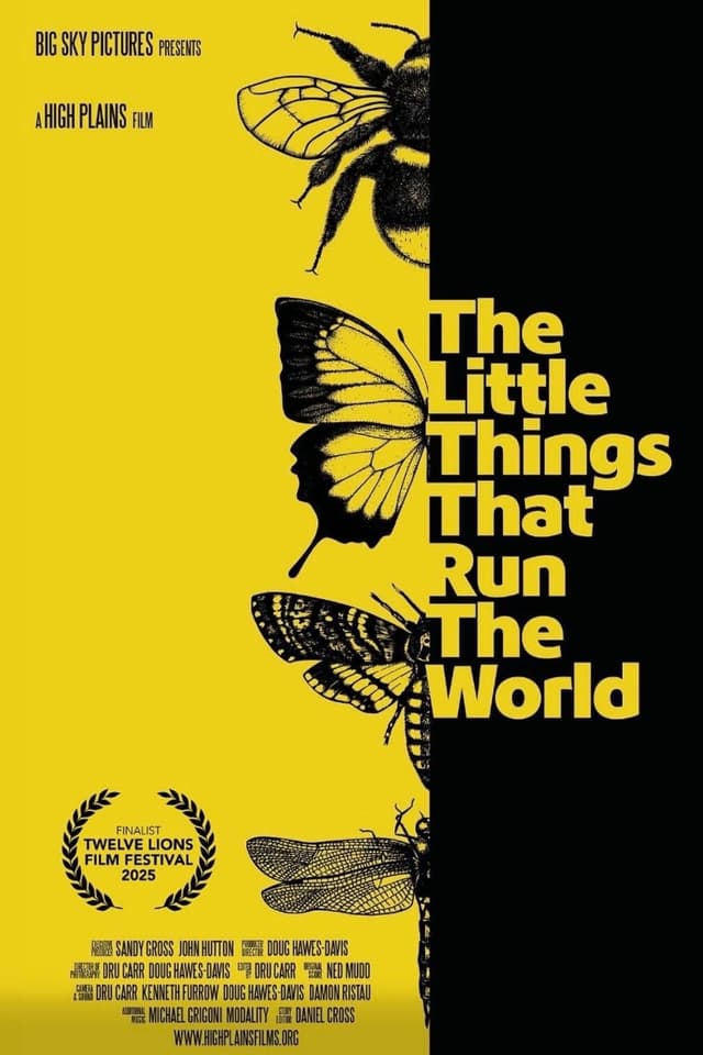The Little Things that Run the World